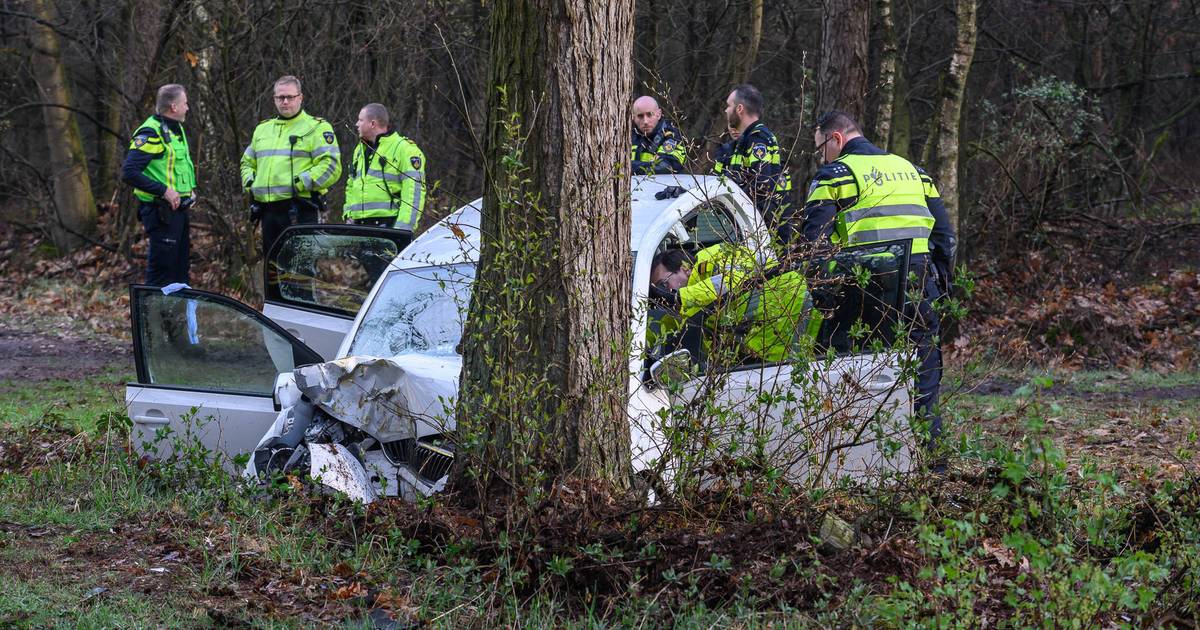 Man uit Bavel omgekomen bij ongeval op Royaledreef in Gilze.