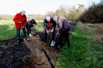 Vrijwilligers spitten voor uitbreiding boomkikkersnelweg in Gilze