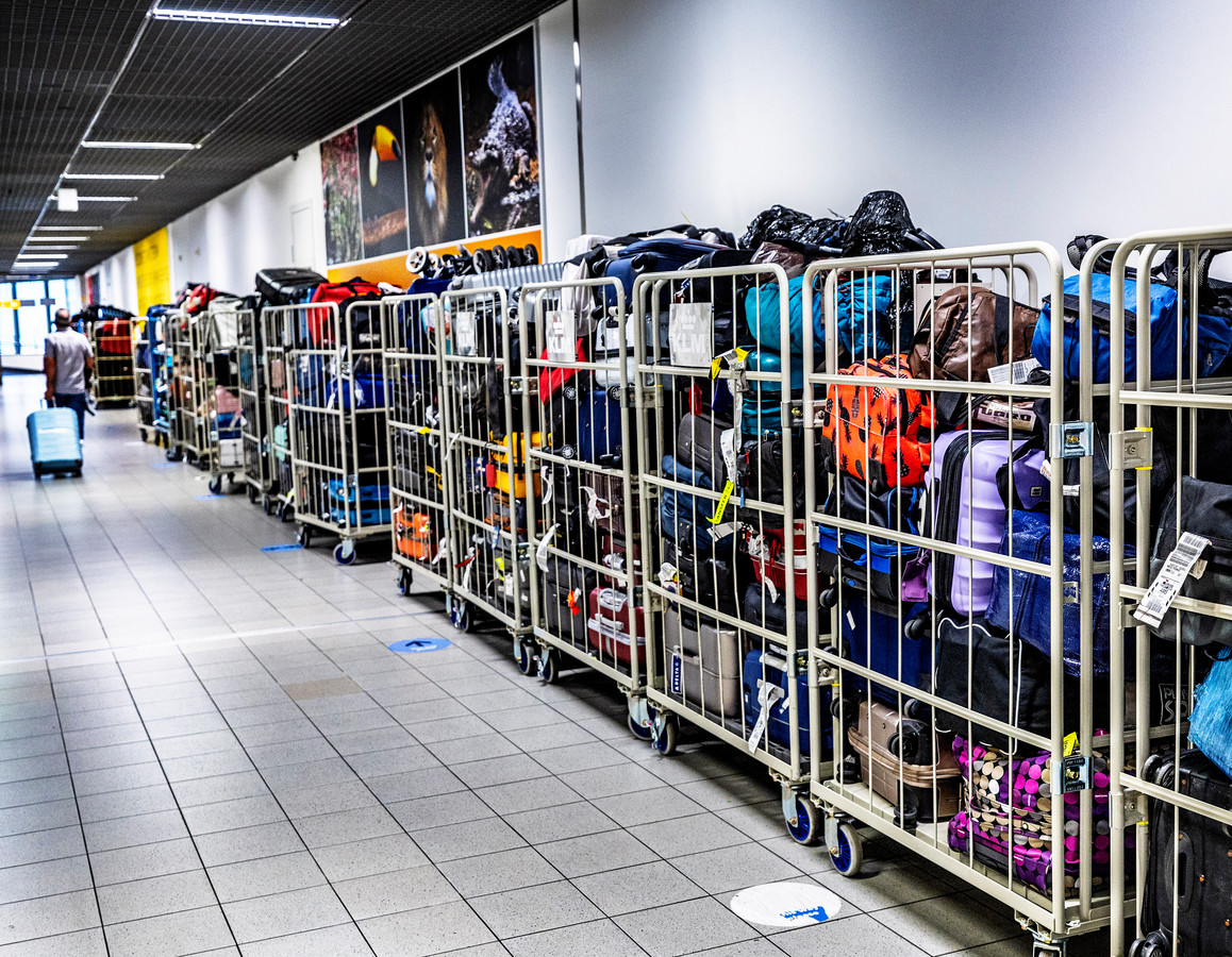 Op deze veiling te koop honderden