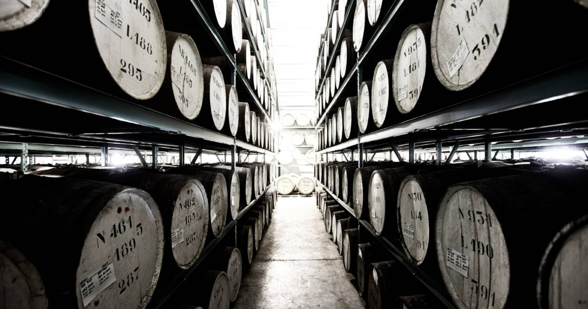 Filliers Distillery rijgt prijzen aan elkaar en brengt wodka op de ...