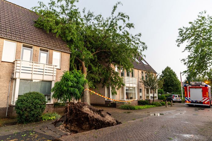 Boom op huizen gevallen in Oosterhout.
