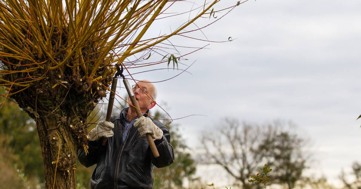 Handen uit de mouwen voor behoud van de natuur