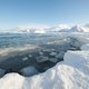 Records blijven sneuvelen op de Noordpool: 2016 was warmste jaar ooit