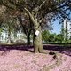 Als vanzelf was ik in het Maximiliaanpark terechtgekomen