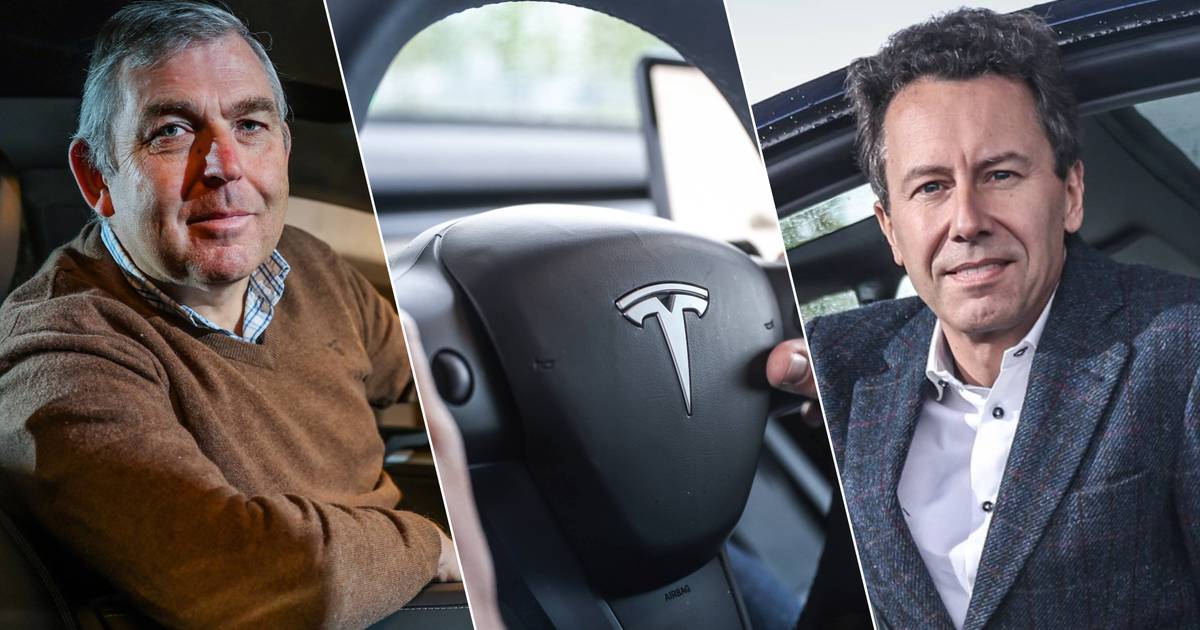 Advantages and Disadvantages of the Tesla Model Y Testimonials from Belgium's BestSelling Car