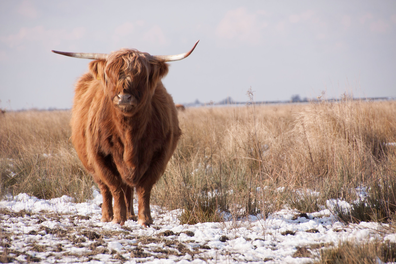 Winter op Tiengemeten.