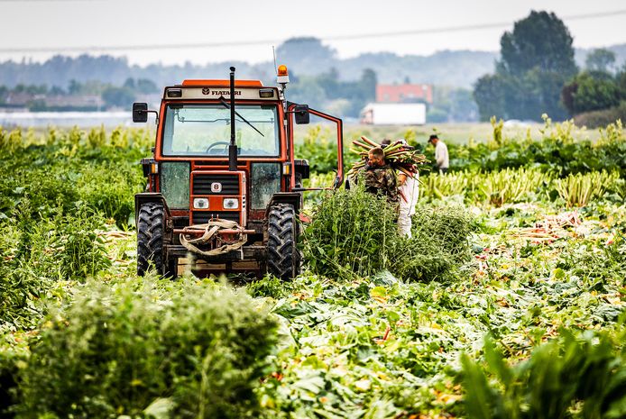 Landbouwvoertuigen mogen vanaf 1 januari de weg niet meer op zonder kentekenplaat.