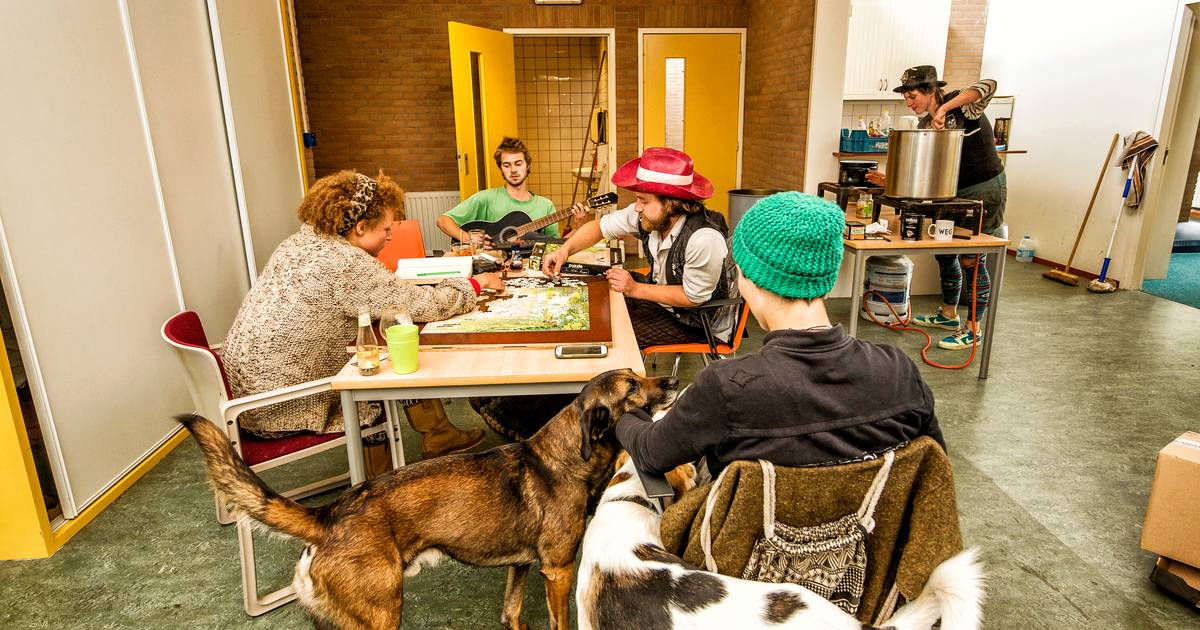 Tijdelijke bewoners Twistvliedschool Mijdrecht