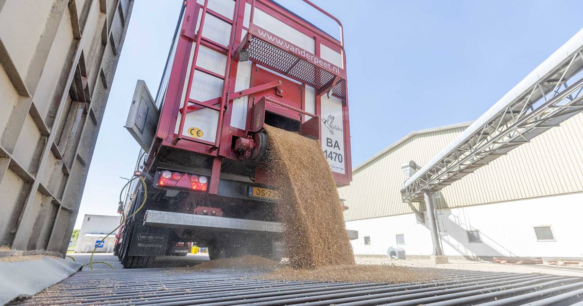 Weg is vrij voor fusie van Zeeuwse landbouwcoöperatie CZAV