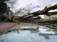 Groot aantal meldingen van stormschade bij hulpdiensten: honderden meldingen per regio