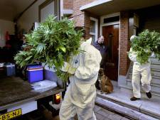Huisbazen jagen op criminelen in huurwoningen: ‘Iedereen moet in Nissewaard veilig kunnen wonen’