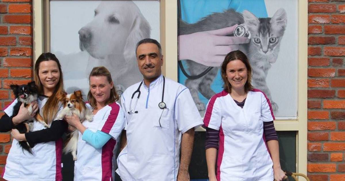 dierenkliniek nesselande beste van zuid holland rotterdam pzcnl