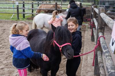 Aaien, knuffelen, verzorgen: paarden van Kim geven kinderen met beperking meer zelfvertrouwen
