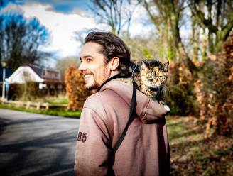 Met zijn kat Jamy op zijn schouder wandelt Willy helemaal naar Nice: ‘Ze wil niet zelf lopen’