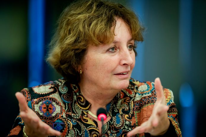 Alphense burgemeester Liesbeth Spies