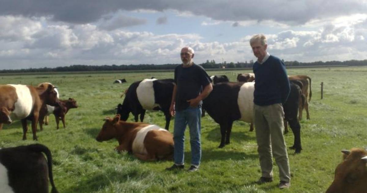 Lakenvelders willen in de aandacht