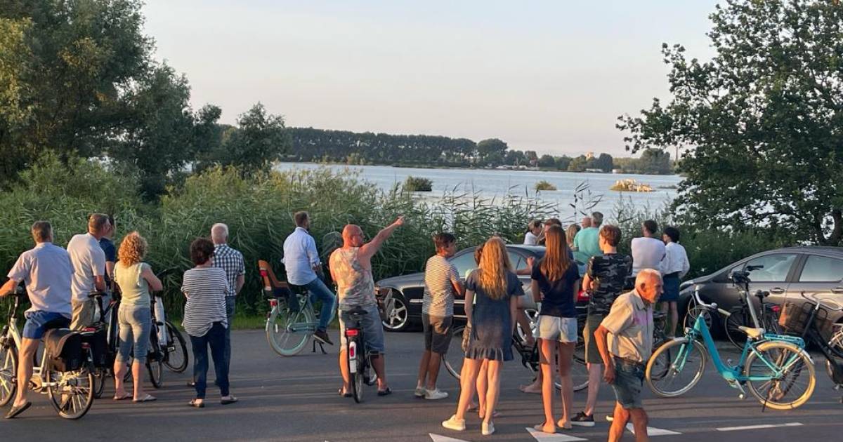 Groepje koeien in nood op piepklein eilandje in Alem, water stijgt nog steeds.
