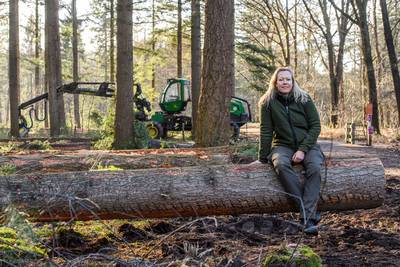 Bomen kappen voor de toekomst van het bos: zo gaat het eraan toe