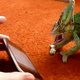 Kameleon meets Iphone