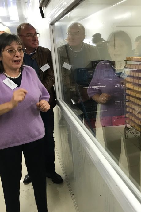 "On ne peut faire du Herve qu'à Herve”