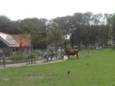 Kinderboerderij.