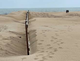 Dit doen aanhoudende wind en droogte met onze stranden: Knokke-Heist grijpt vanaf maandag in