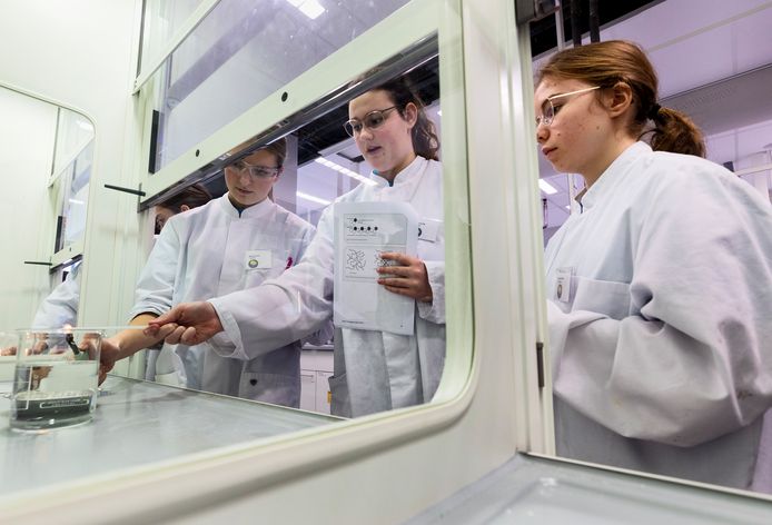 Tijdens het Bèta-tournament worden middelbare scholieren uitgedaagd met praktische proefjes en experimenten om ze zo te stimuleren voor een beta-beroepopleiding te kiezen. V.l.n.r.: Myrthe Elsten, Elise Goverde en Sandra Dekkers.