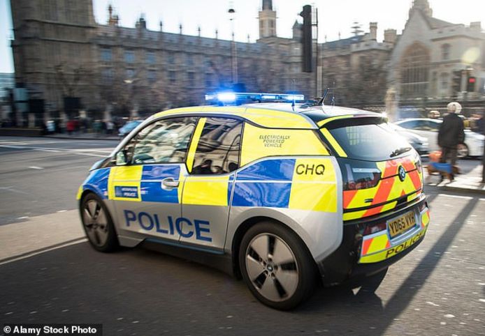 passage grijnzend Onderdompeling Britse politie alweer klaar met elektrische auto | Auto | AD.nl