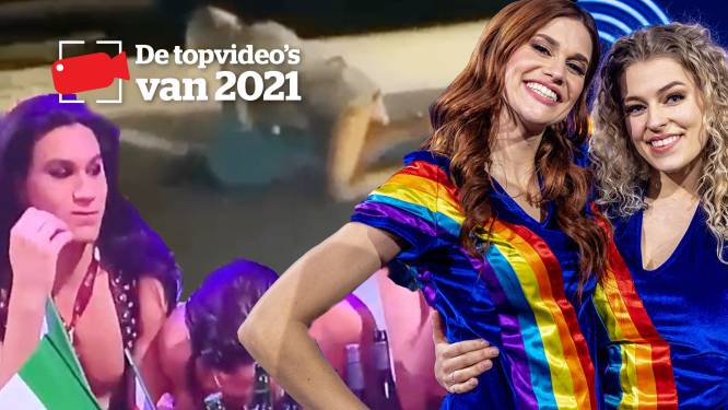 ‘Snuiven’ op Eurosong, een vechtende ex-miss of K3-mania? Stem op dé showbizzbeelden van 2021
