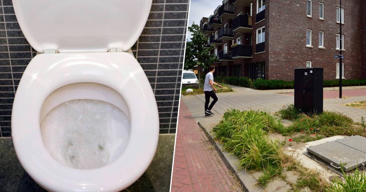 Wcwater komt omhoog en enorme stank bewoners zijn problemen met riool ‘spuugzat’ Zuidplas