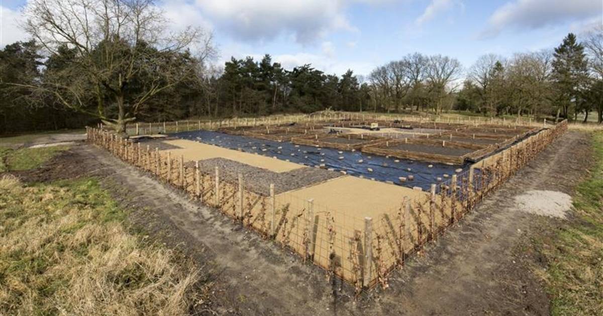 Drie scenario's voor woningbouw in Sibculo | Twenterand | tubantia.nl - Tubantia