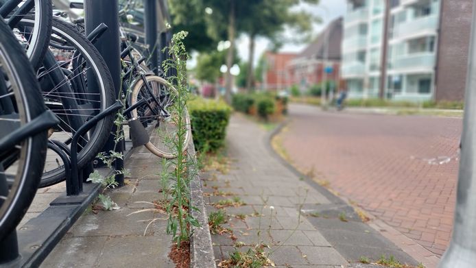 Geen Treinstation En Geen Goede Aansluiting Op De N65, Snel Groeiend Berkel Enschot Vreest Vast Te Lopen~a2dccfc9