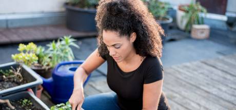Op een dakterras tuinier je met potten en bakken: deze planten zijn geschikt