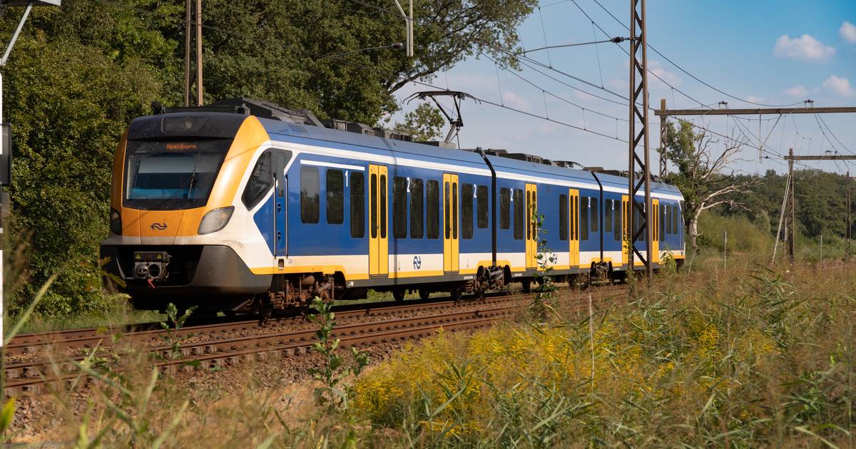 Trein neemt verkeerde afslag en rijdt plots andere kant op: ‘Echt ...