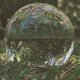 ‘Spiral’, de nieuwe van DARKSIDE, is tamelijk fantastisch