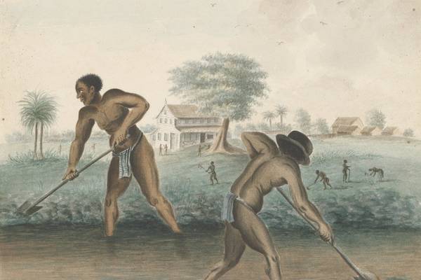 NOS Opening Slavernijtentoonstelling Rijksmuseum