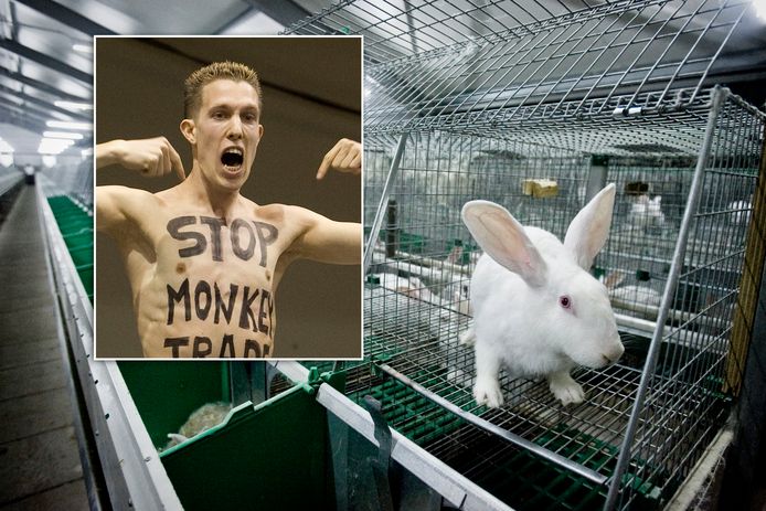 De Vegan Streaker (inzet) ging zonder toestemming een konijnenfokkerij in de Achterhoek binnen. Foto op de achtergrond ter illustratie.
