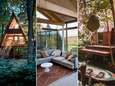 Luxueus logeren in het bos? 14 bijzondere boomhutten en huisjes. “Er is een sauna met buitendouche op het dak”