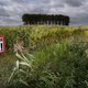 Bleker: snel besluit Hedwigepolder