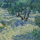 Amerikaanse curatoren ontdekken echte sprinkhaan op schilderij Vincent van Gogh