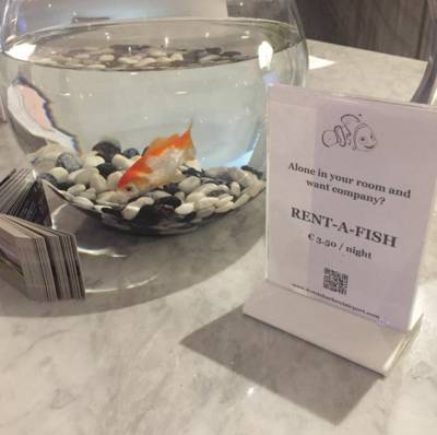 Hotel verhuurt goudvis aan eenzame gasten