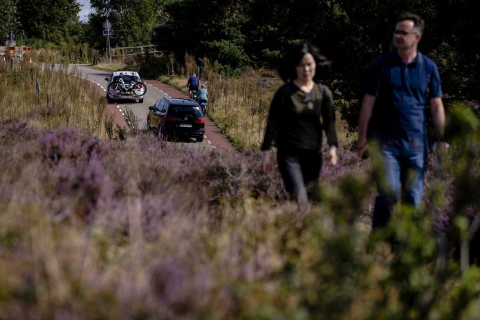 De verkeersdrukte hindert vaak het plezier van de wandelaars op de Posbank.