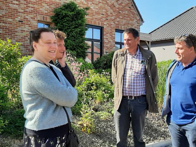 Gemeente en Milieufront MOW koesteren bijenplekjes: “Maak er zelf eentje en meld het aan”