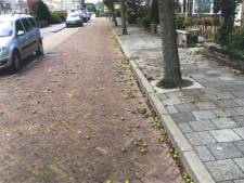 Vallende appels teisteren bewoners van Monster