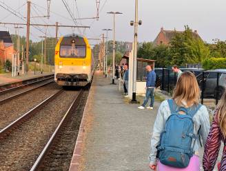 Beschadigde bovenleiding volledig hersteld: opnieuw normaal treinverkeer tussen Zottegem en Denderleeuw