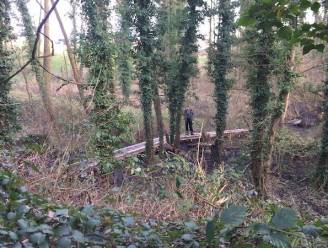 Sprookjeswandeling in het Duivenbos