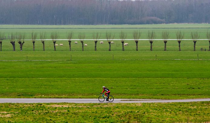 Een valpartij heeft de wielerwedstrijd op de Nedereindse Berg stilgelegd. Terwijl hij wacht op een nieuw startschot, rijdt deze eenzame fietser in het rond.