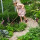 Oudolf|Hummelo: tuinboek over het werk van Piet Oudolf