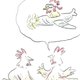 Als de dieren zouden spreken…