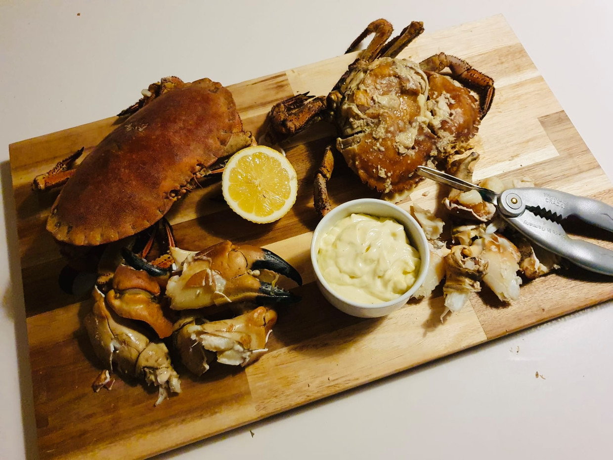 De Volkskeuken: Kepiting Laut Utara dengan mayones lemon